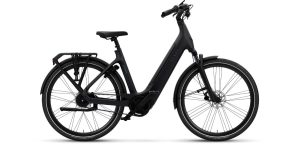 XCITEMNT D53